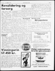 Síða 3
