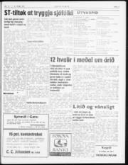Síða 3
