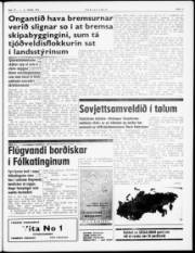 Síða 5
