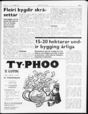 Síða 3