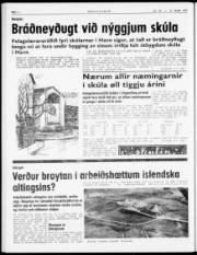 Síða 4