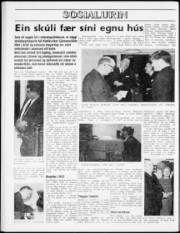 Síða 8