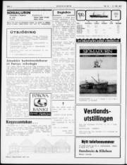 Síða 2