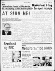 Síða 4