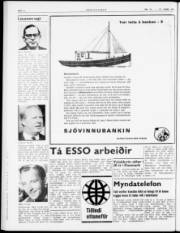 Síða 6