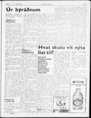 Síða 3
