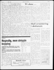 Síða 5