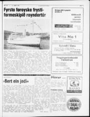 Síða 5