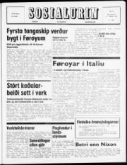 Síða 1
