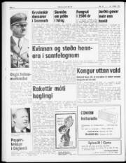Síða 6
