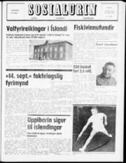 Síða 1