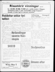 Síða 3
