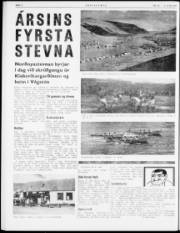 Síða 8