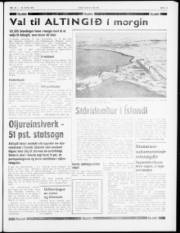 Síða 3