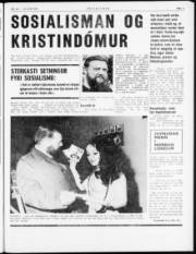 Síða 3