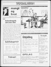 Síða 8