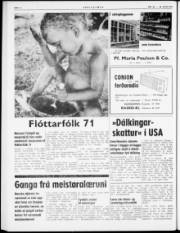 Síða 6