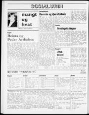 Síða 8