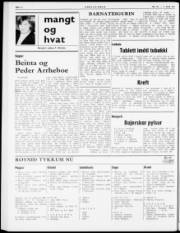 Síða 6