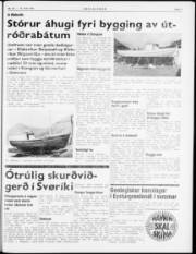 Síða 5