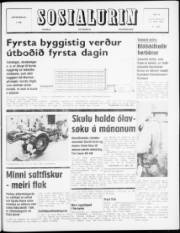 Síða 1
