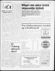 Síða 3