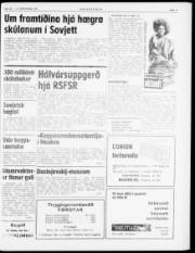 Síða 3
