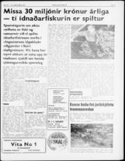 Síða 3