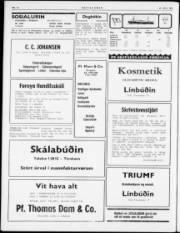 Síða 2