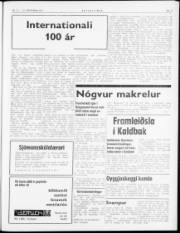 Síða 3
