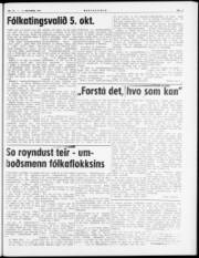 Síða 3