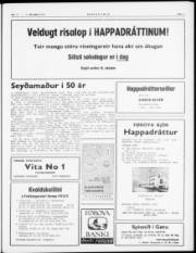 Síða 3