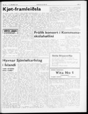 Síða 3