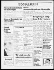 Síða 8