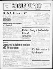 Síða 1
