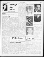 Síða 3