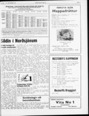 Síða 3