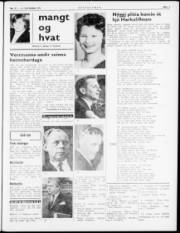 Síða 3