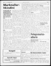 Síða 3