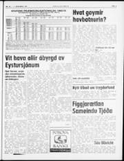 Síða 3