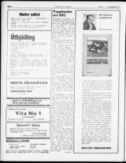 Síða 2