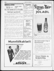 Síða 2