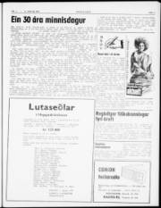 Síða 3