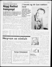 Síða 3