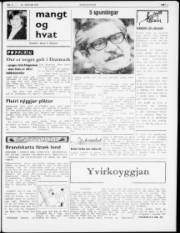Síða 5