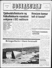 Síða 1