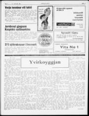 Síða 3