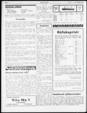 Síða 2