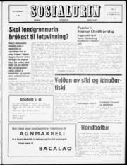 Síða 1