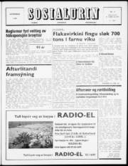 Síða 1
